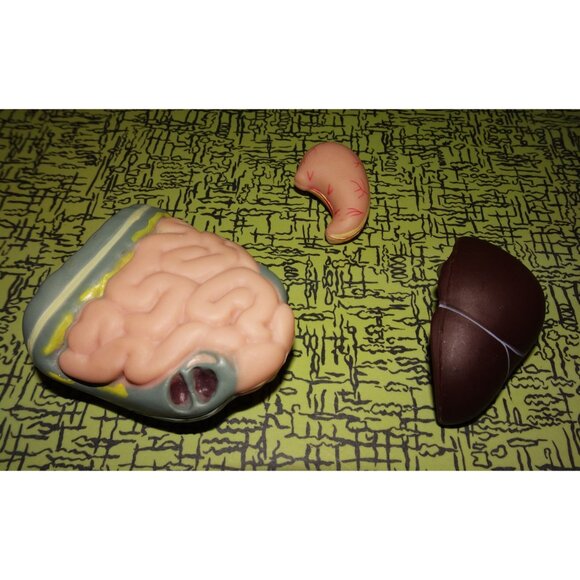 Vintage Plastic Human Organ Miniatures liver kidney intestines oddity curiosity - Picture 8 of 10